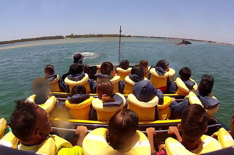 Jet Boat Express Ride - 30mins - Restaurant Darwin 5