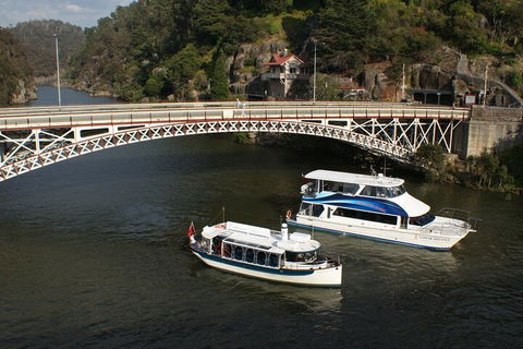 2.5 Hour Morning Discovery Cruise Including Sailing Into The Cataract Gorge - Restaurant Darwin 5