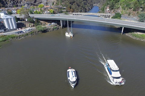 2.50 Hour Afternoon Discovery Cruise Including Cataract Gorge Departing At 3 Pm - Restaurant Darwin 5