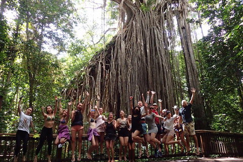 Atherton Tablelands Waterfalls Tour From Cairns - Restaurant Darwin 5