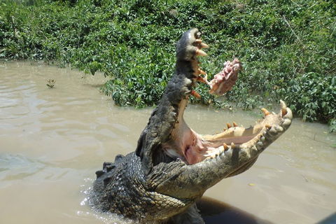 Litchfield And Jumping Crocodiles Full Day Trip From Darwin - Restaurant Darwin 3