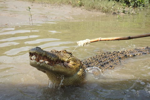 Litchfield And Jumping Crocodiles Full Day Trip From Darwin - Restaurant Darwin 4
