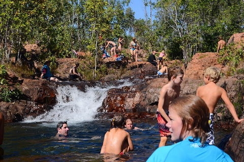 Litchfield And Jumping Crocodiles Full Day Trip From Darwin - Restaurant Darwin 5