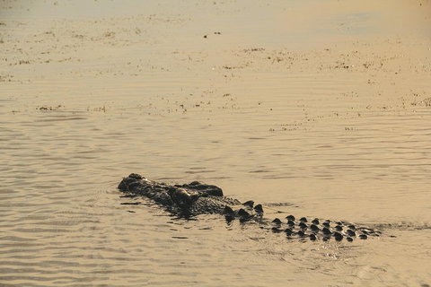 Yellow Water Cruise - Kakadu - Restaurant Darwin 2