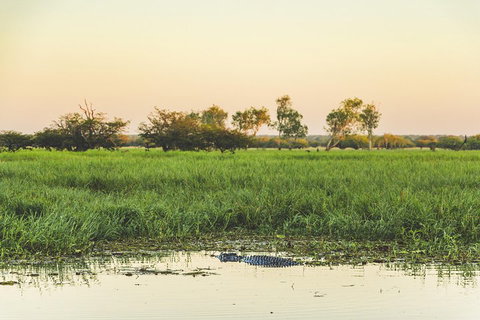 Yellow Water Cruise - Kakadu - Restaurant Darwin 3