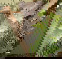 Blue Mountains Private Full-Day Tour from Sydney with Cruise - Restaurant Darwin