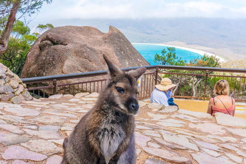 Wineglass Bay & Freycinet NP Full Day Tour From Hobart Via Richmond Village - Restaurant Darwin 0