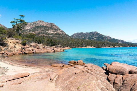 Wineglass Bay & Freycinet NP Full Day Tour From Hobart Via Richmond Village - Restaurant Darwin 5