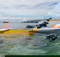Seal Island and Penguin Island or Point Peron Sea Kayak Tour - Restaurant Darwin