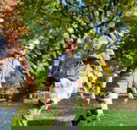 Aboriginal Heritage Walk - Royal Botanic Gardens Victoria Melbourne Gardens - Restaurant Darwin