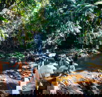 Aquaduck  Your choice of Gold Coast Rainforest Tour - Restaurant Darwin