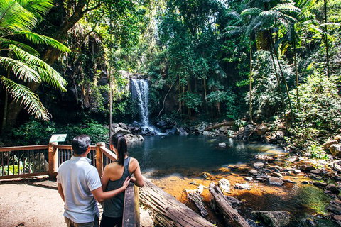 Aquaduck & Your Choice Of Gold Coast Rainforest Tour - Restaurant Darwin 0