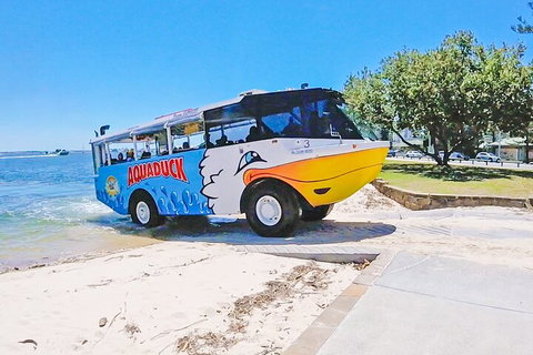 Aquaduck & Your Choice Of Gold Coast Rainforest Tour - Restaurant Darwin 1
