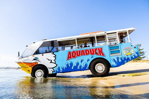 Aquaduck & Your Choice Of Gold Coast Rainforest Tour - Restaurant Darwin 3