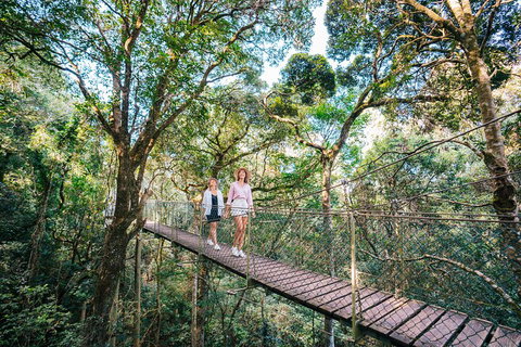 Aquaduck & Your Choice Of Gold Coast Rainforest Tour - Restaurant Darwin 4