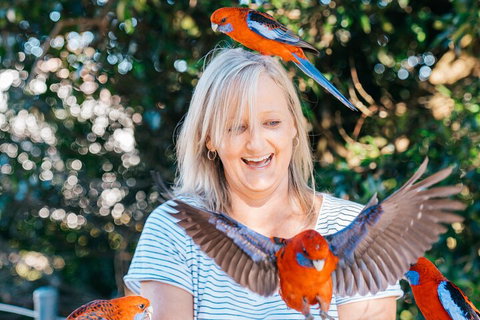 Aquaduck & Your Choice Of Gold Coast Rainforest Tour - Restaurant Darwin 5