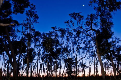 Small-Group Kangaroo Island 4WD Night Tour - Restaurant Darwin 2