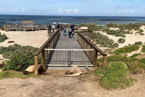 Kangaroo Island 4WD Tour - Best Of KI - Restaurant Darwin 2