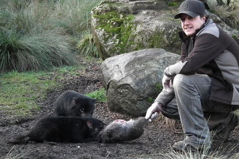 After Dark Tasmanian Devil Feeding Tour At Cradle Mountain - Restaurant Darwin 2