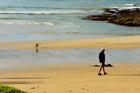 Ultimate Reverse Direction - 12 Apostles, Great Ocean Road - Small Group Tour - Restaurant Darwin 1