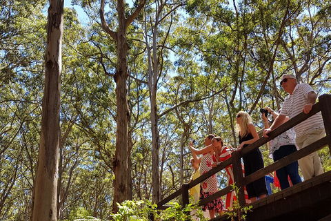 The All About Margaret River Tour: Wine, Coffee, Lunch And Forest - Restaurant Darwin 3