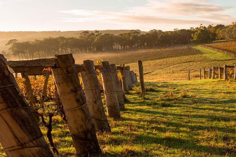 The All About Margaret River Tour: Wine, Coffee, Lunch And Forest - Restaurant Darwin 5