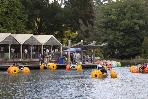 Yarra Valley, Dandenong Ranges Inc. Lunch With Wine,plus Morning Tea,chocolate - Restaurant Darwin 1