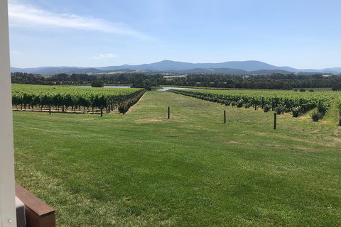 Yarra Valley, Dandenong Ranges Inc. Lunch With Wine,plus Morning Tea,chocolate - Restaurant Darwin 3