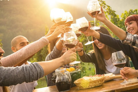 Yarra Valley, Dandenong Ranges Inc. Lunch With Wine,plus Morning Tea,chocolate - Restaurant Darwin 4