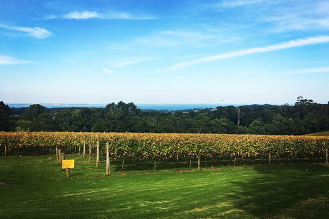 Yarra Valley Private Car Winery Tour And Chocolate.1-7 Passengers One Car Price - Restaurant Darwin 0