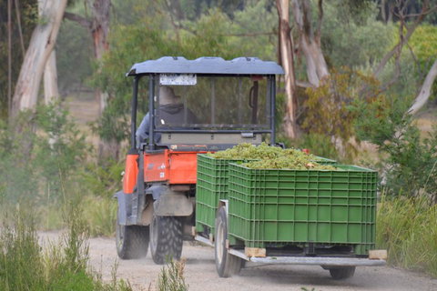 Yarra Valley Private Car Winery Tour And Chocolate.1-7 Passengers One Car Price - Restaurant Darwin 1