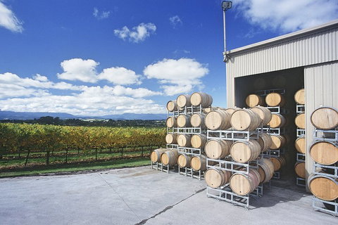 Yarra Valley Private Car Winery Tour And Chocolate.1-7 Passengers One Car Price - Restaurant Darwin 2