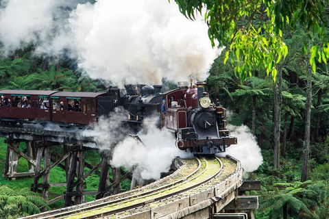 Puffing Billy And Healesville Sanctuary Scenic Tour - Restaurant Darwin 1