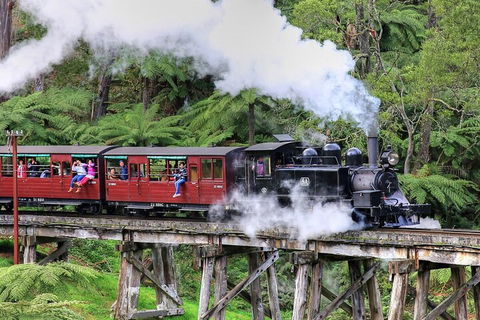 Puffing Billy And Healesville Sanctuary Scenic Tour - Restaurant Darwin 2