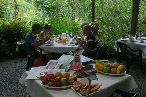 4-Day Cairns Ultimate Combo: Daintree Rainforest, Reef, Kuranda & Paronella Park - Restaurant Darwin 4