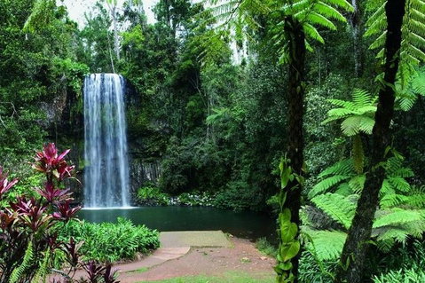 Paronella Park And Millaa Millaa Falls Full-day Tour From Cairns - Restaurant Darwin 3