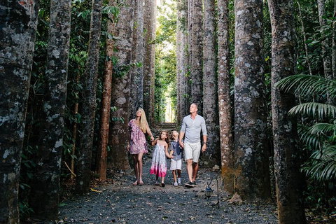 Paronella Park And Millaa Millaa Falls Full-day Tour From Cairns - Restaurant Darwin 5