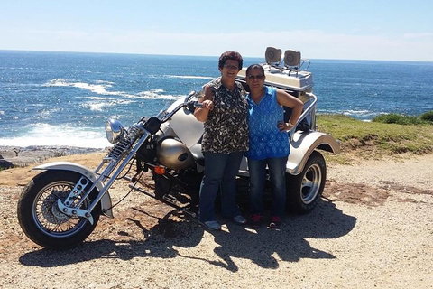 Bondi & Sydney Sights Trike Tour 1.5hrs - Restaurant Darwin 1