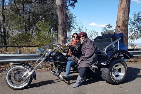 Bondi & Sydney Sights Trike Tour 1.5hrs - Restaurant Darwin 3