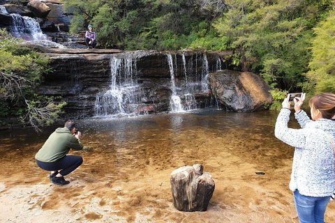 Blue Mountains Small Group Tour Enjoy A Sleep In, Waterfalls, Sunset & Dinner - Restaurant Darwin 2