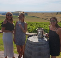 Canberra - Southern Highlands Winery Tour - Restaurant Darwin