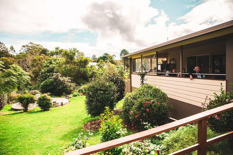 Full-day Springbrook National Park Tour From The Gold Coast - Restaurant Darwin 2