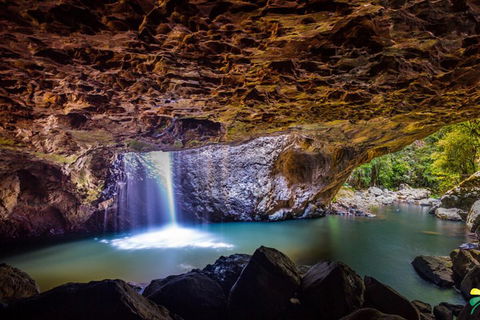 Full-day Springbrook National Park Tour From The Gold Coast - Restaurant Darwin 3