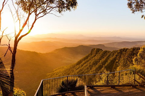 O'Reilly's & Lamington National Park Incl. Alpaca Farm + Vineyard - Restaurant Darwin 0