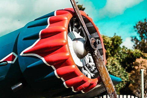 O'Reilly's & Lamington National Park Incl. Alpaca Farm + Vineyard - Restaurant Darwin 1