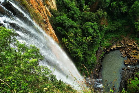 Natural Arch, Rainforest & Volcano Canyon - Private Half Day Tour - Restaurant Darwin 5
