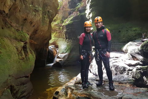 Blue Mountains Empress Canyon Adventure From Wentworth Falls - Restaurant Darwin 0