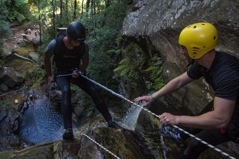 Blue Mountains Empress Canyon Adventure From Wentworth Falls - Restaurant Darwin 2