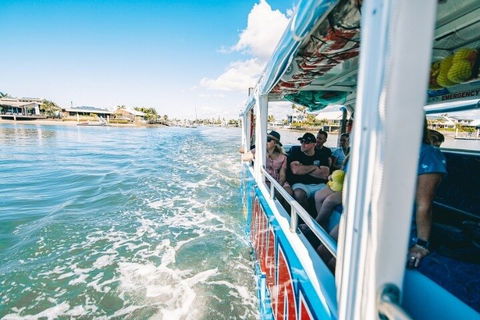 Aquaduck Sunshine Coast - Restaurant Darwin 5