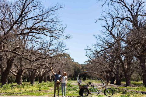 Adelaide 90-Minute Pedicab Tour: Scenic Green & River Experience - Restaurant Darwin 1